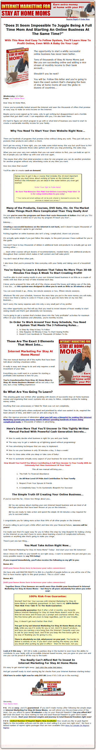 Internet Marketing For Moms PLR Ebook and Audio Package - Image 2