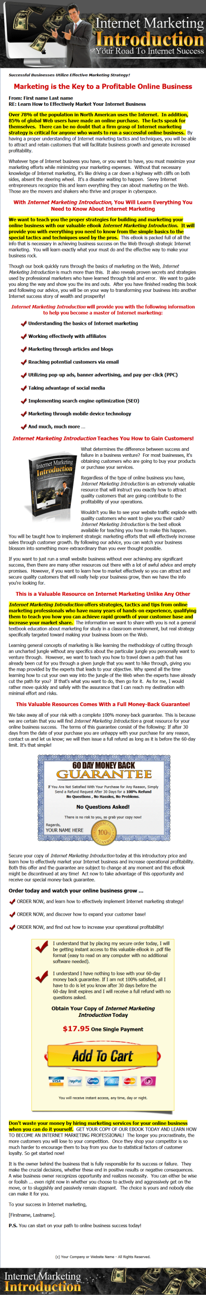Internet Marketing Introduction Ebook MRR - Image 2