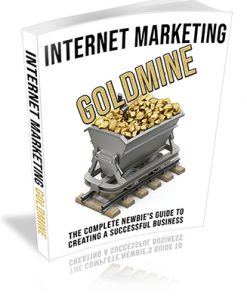 Internet Marketing Goldmine PLR Ebook