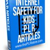 Internet Safety for Kids PLR Articles