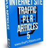 Internet Site Traffic PLR Articles 5