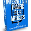Internet Website Traffic PLR Articles 3