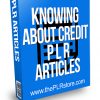 Knowing About Credit PLR Articles