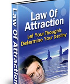 law of attraction plr ebook