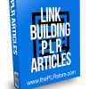 Link Building PLR Articles