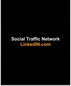 linkedin traffic plr video