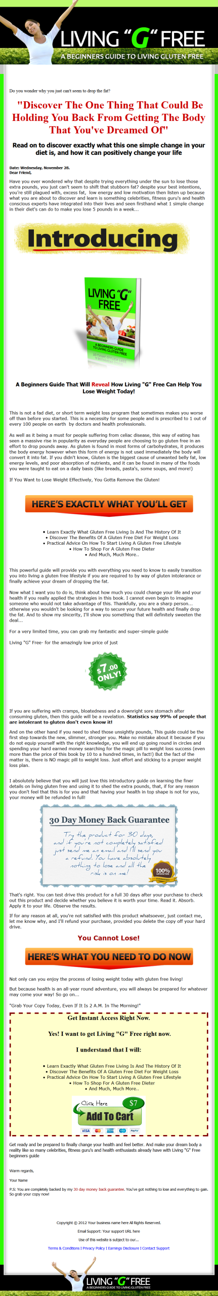 Living Gluten Free PLR Ebook with Private Label Rights - Image 2