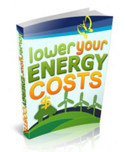 Lower Energy Costs PLR Ebook
