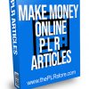 Make Money Online PLR Articles