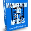 Management 103 PLR Articles