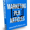 Marketing PLR Articles