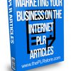 Marketing Your Business on the Internet PLR Articles