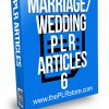 Marriage Wedding PLR Articles 6