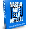 Martial Arts PLR Articles