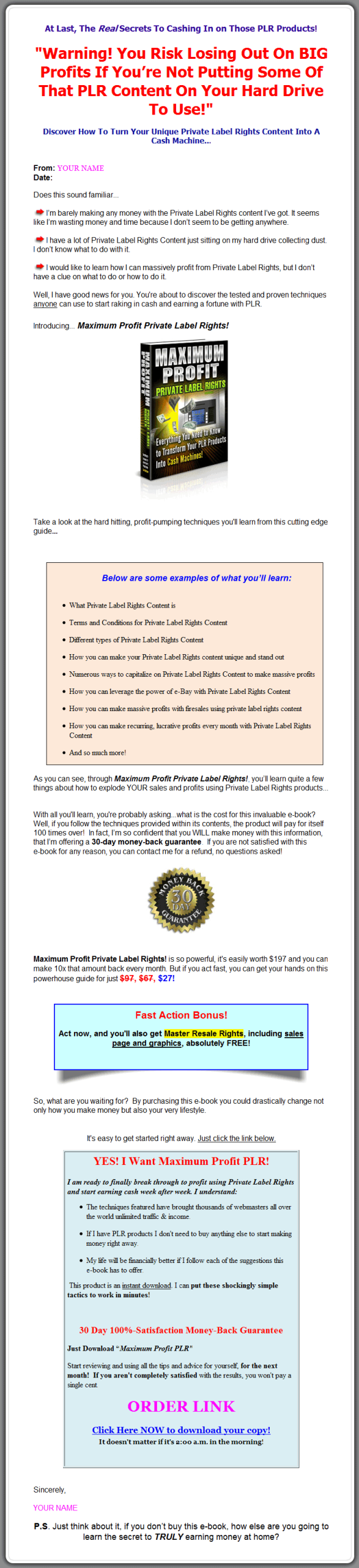 Maximum Profit with Private Label Rights Products (PLR) - Image 2