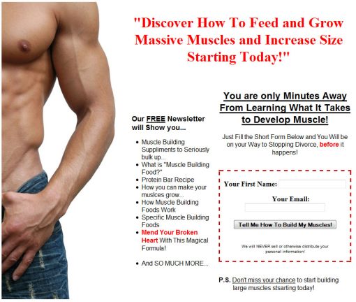 Muscle Building Foods PLR Autoresponder Messages | The PLR Store