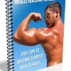 muscle building for beginners plr