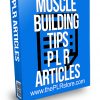 Muscle Building Tips PLR Articles