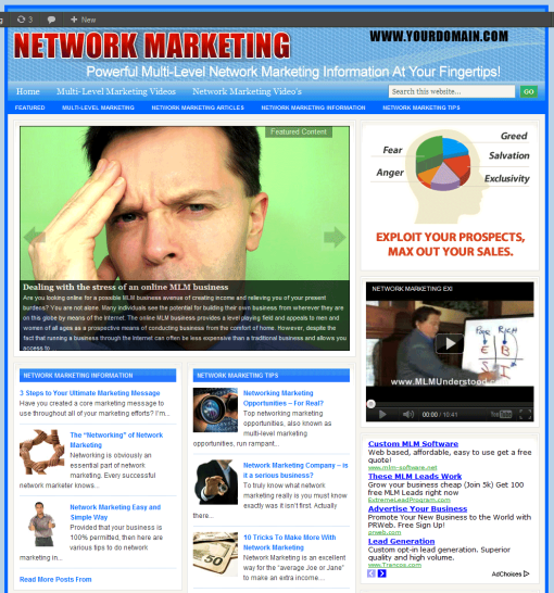 Network and Multi-Level Marketing PLR Website | The PLR Store