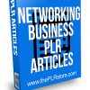 Networking Business PLR Articles