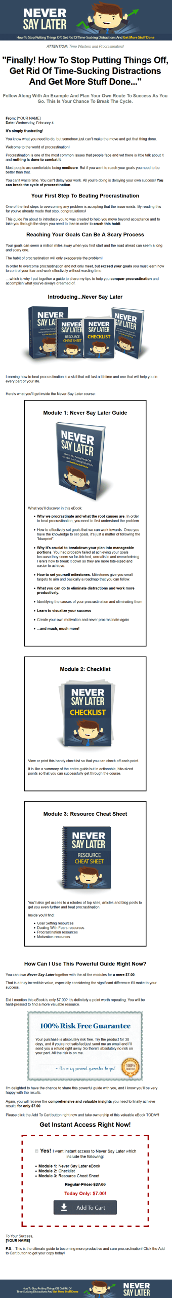Never Say Later Ebook MRR Package - Procrastination - Image 2