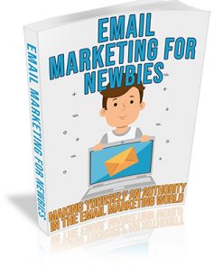 Newbie Email Marketing PLR Ebook