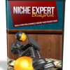 Niche Expert Blueprint Videos