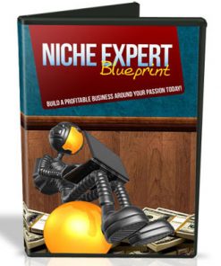 Niche Expert Blueprint Videos