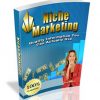 niche marketing ebook