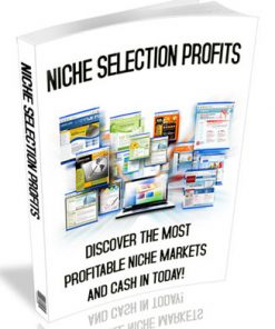 niche selection profits plr ebook