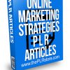Online Marketing Strategies PLR Articles