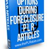 Options During Foreclosure PLR Articles