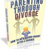 Parenting Through Divorce PLR Ebook Package