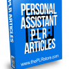 Personal Assistant PLR Articles