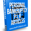 Personal Bankruptcy PLR Articles