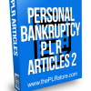 Personal Bankruptcy PLR Articles 2