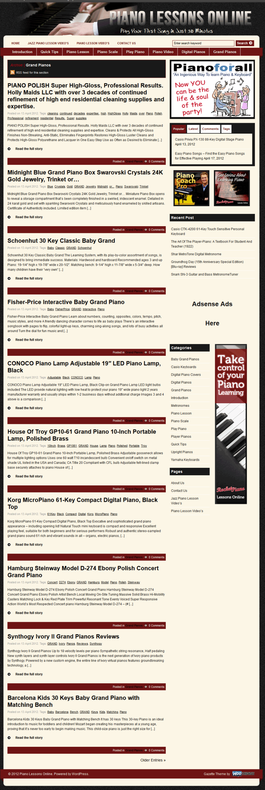 Piano Lessons PLR Website and Amazon Store - Image 3