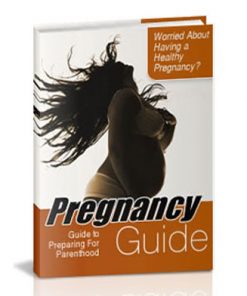 Pregnancy Guide PLR Ebook