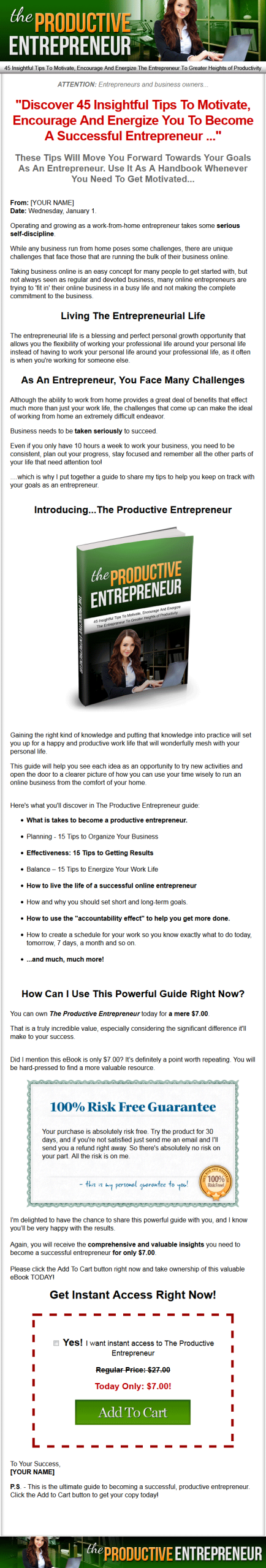 Productive Entrepreneur MRR Ebook - Image 2