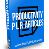 Productivity PLR Articles