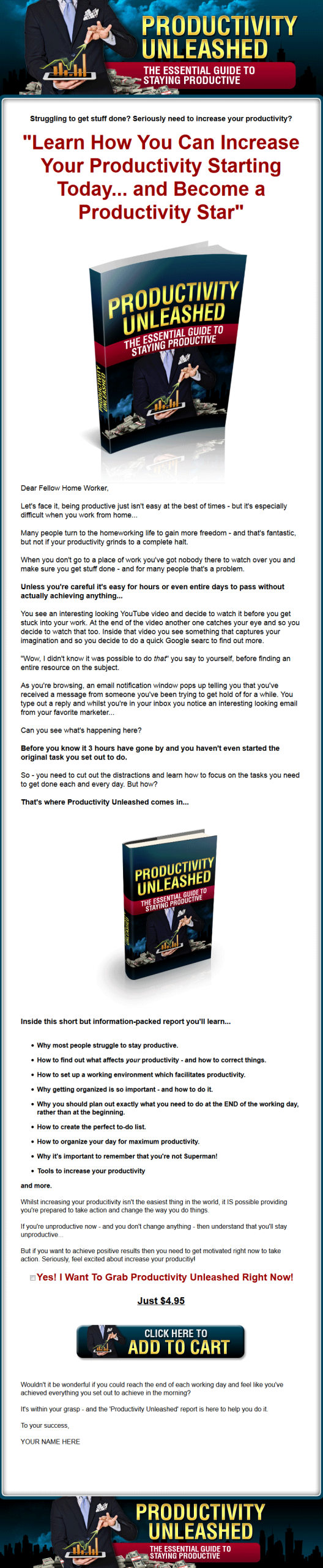 Productivity Unleashed MRR Ebook - Image 2