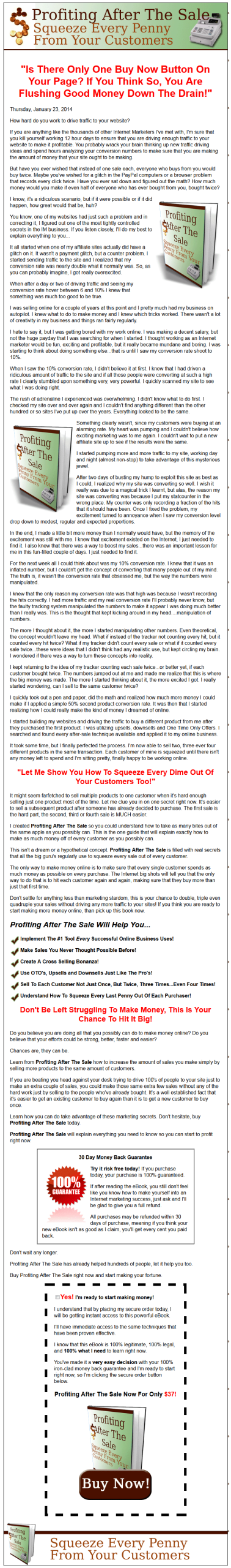 Profiting After The Sale MRR Ebook - Image 2