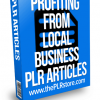 profiting from local business plr articles