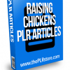 raising chickens plr articles