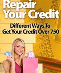 Repair Your Credit PLR Ebook