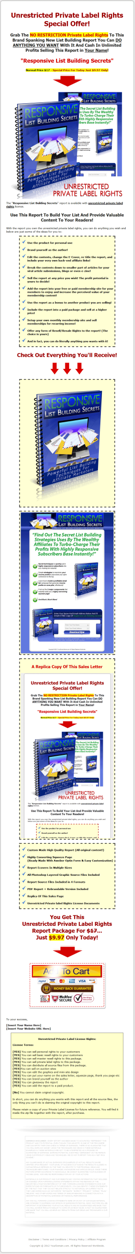 Responsive Listbuilding Secrets PLR Ebook Package - Image 2