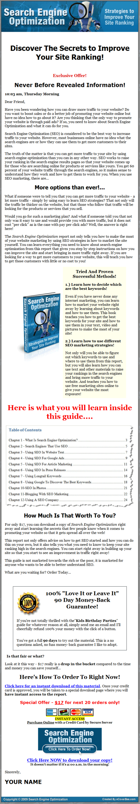 Search Engine Optimization PLR Ebook - Image 2