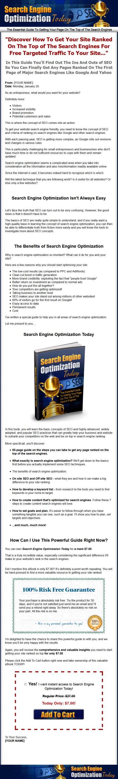 Search Engine Optimization Today MRR Ebook - Image 2