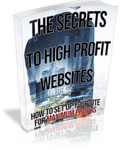 The Secrets to High Profit Websites PLR Ebook