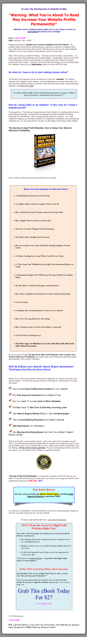 The Secrets to High Profit Websites PLR eBook - Image 2